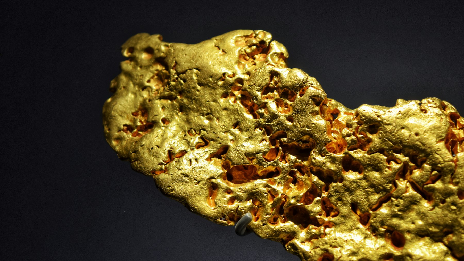 Close-up of a raw gold nugget